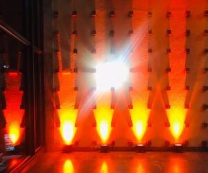 PrÃ©dios pÃºblicos sÃ£o iluminados de laranja para conscientizar sobre esclerose mÃºltipla