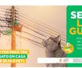 Campanha Agosto Vermelho