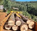 ForÃ§a-tarefa realizada pela equipe de fiscalizaÃ§Ã£o do IAT da regional de UniÃ£o da VitÃ³ria resultou em 114 Autos de InfraÃ§Ã£o Ambiental e R$ 4,18 milhÃµes em multas. OperaÃ§Ã£o contra desmatamento fecha depÃ³sito de madeira e gera multas de R$ 4,1 milhÃµes OperaÃ§Ã£o contra desmatamento fecha depÃ³sito de madeira e gera multas de R$ 4,1 milhÃµes