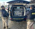 PRF apreende mais de 60 quilos de cocaÃ­na no ParanÃ¡