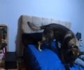 PolÃ­cia invade quarto de estudante