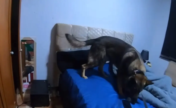 Polícia invade quarto de estudante