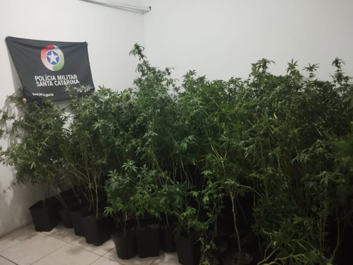Fotos: Divulgação/PMSC