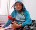 Aymee Soares de Almeida com seu galo PaÃ§oca