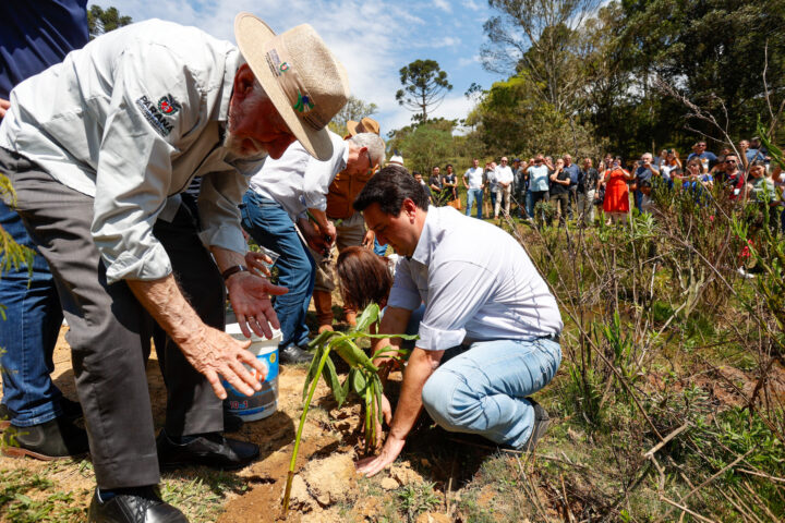 Governador Carlos Massa Ratinho Junior da início à ação Mil Fontes, que vai proteger 1000 nascentes de água até o Dia da Árvore