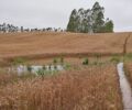 Foto: DivulgaÃ§Ã£o/Epagri