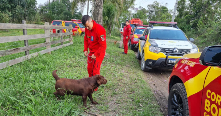 Foto: Divulgação/Corpo de Bombeiros