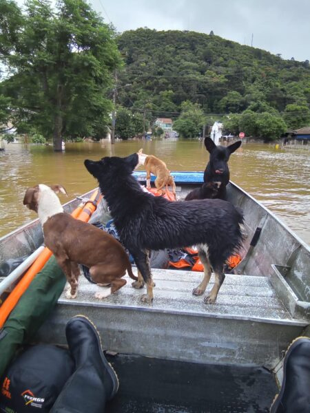 Foto: Divulgação/PMPU