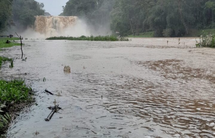 Foto: Divulgação/PMPV