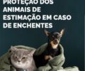 Foto: DivulgaÃ§Ã£o/PMUVA