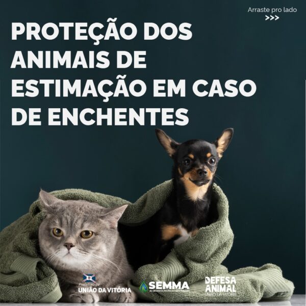 Foto: Divulgação/PMUVA