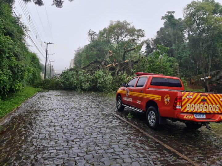 Foto: Divulgação/Corpo de Bombeiros