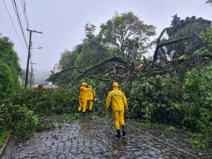 Foto: Divulgação/Corpo de Bombeiros