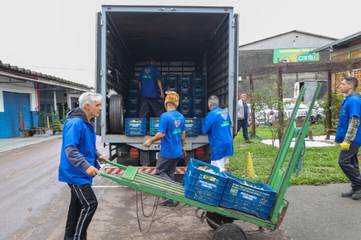 Arrecadação de alimentos na Ceasa Curitiba chega a 33 toneladas
