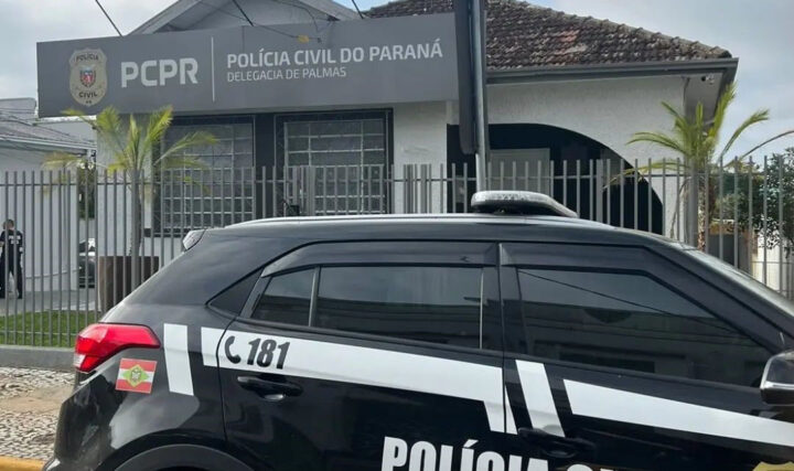 Foto: Divulgação/Polícia Civil de Porto União