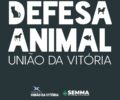 Foto: ReproduÃ§Ã£o