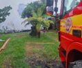 Foto: DivulgaÃ§Ã£o/Corpo de Bombeiros