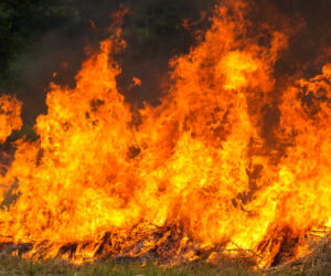 Mulher queima lixo e causa incÃªndio que ameaÃ§a vizinhos