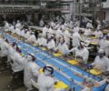 AgÃªncias do Trabalhador iniciam a semana com 21,9 mil vagas