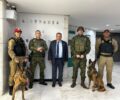 Foto: DivulgaÃ§Ã£o