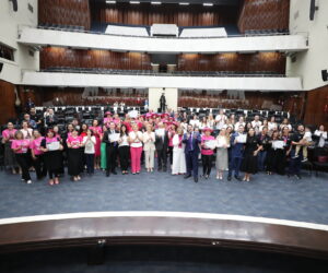 Solenidade ocorreu na noite desta quinta-feira (24), no PlenÃ¡rio da Assembleia Legislativa do ParanÃ¡ | Foto: Valdir Amaral/Alep