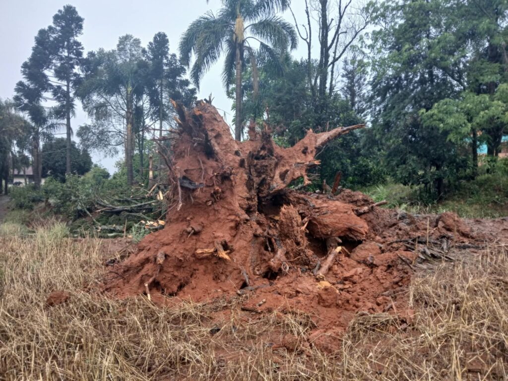 Foto enviada ao Portal RDX.