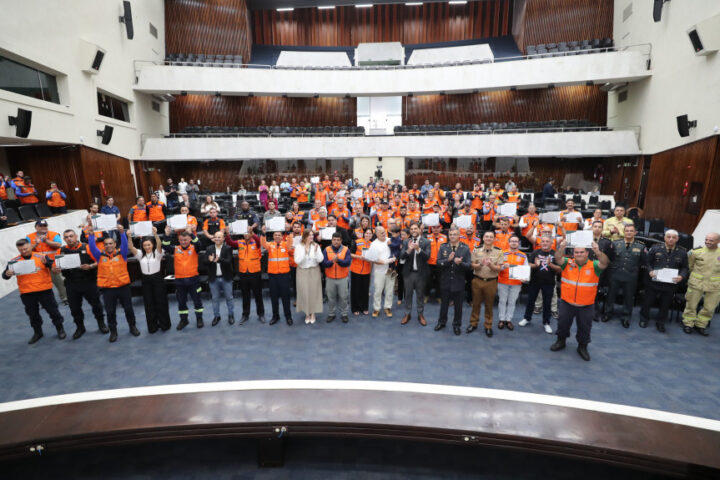 Solenidade ocorreu na manhã desta quarta-feira (12), no Plenário da Casa | Foto: Valdir Amaral/Alep