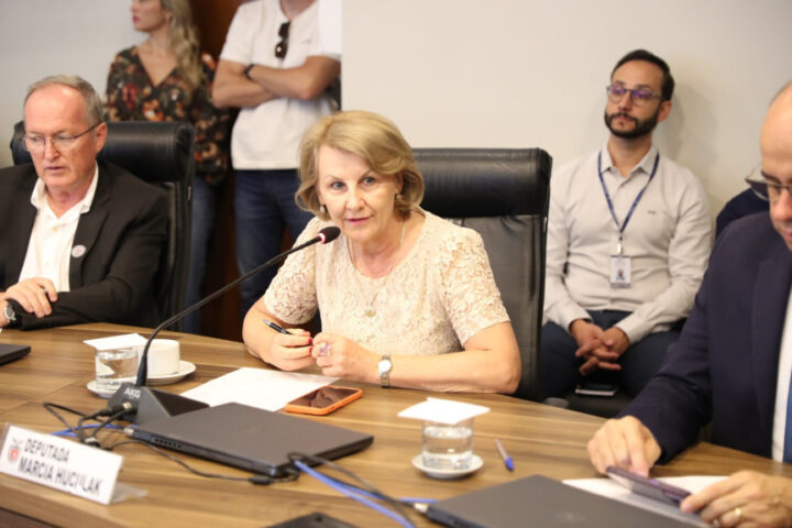 “Se uma obra, um programa ou qualquer ação necessária para a população não consta do orçamento, ela simplesmente não acontece; não se faz política pública”, avalia Márcia | Foto: Valdir Amaral/Alep