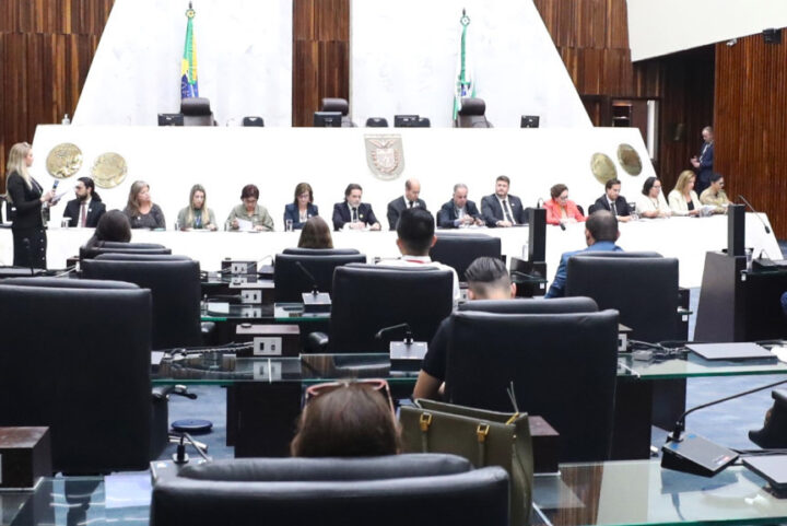 Audiência ocorreu no Plenário da Assembleia Legislativa na tarde desta quarta-feira (6) | Foto: Orlando Kissner/Alep