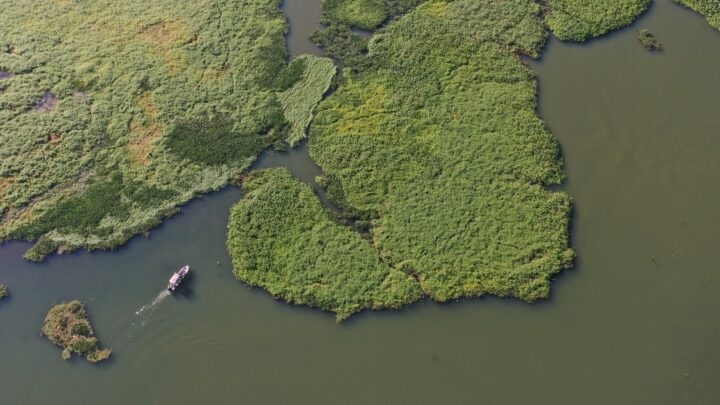 Foto: Sara Cheida/Itaipu Binacional