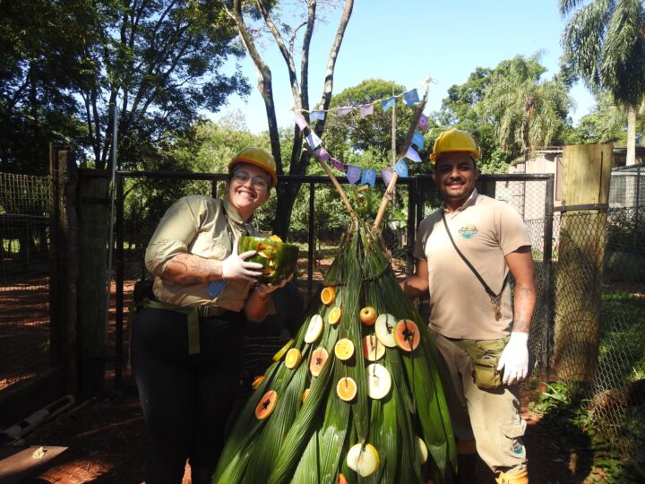 Foto: Raiz Ambiental/Itaipu Binacional