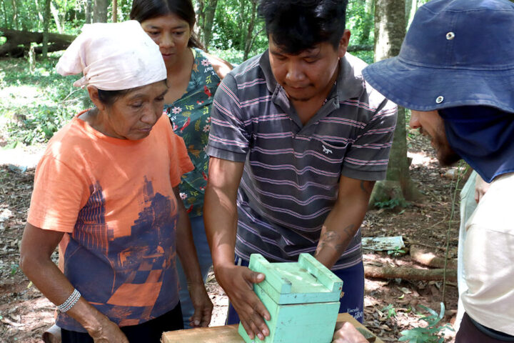 Foto: Divulgação/Projeto Opaná