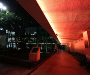 A Assembleia Legislativa foi iluminada com cores diferentes durante todo o ano dependendo de contexto especÃ­fico | Foto: Orlando Kissner/Alep