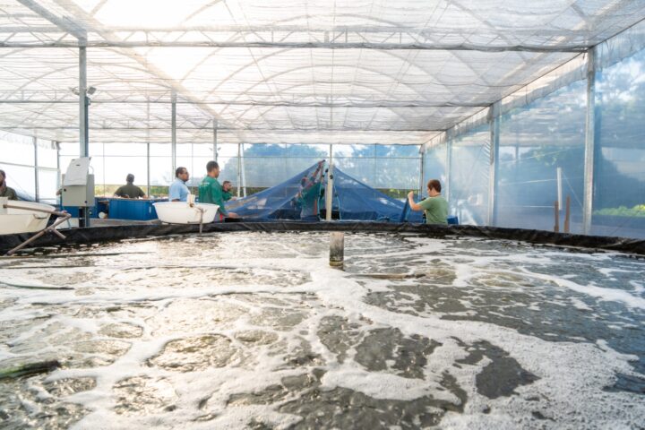 Foto: Sara Cheida/Itaipu Binacional