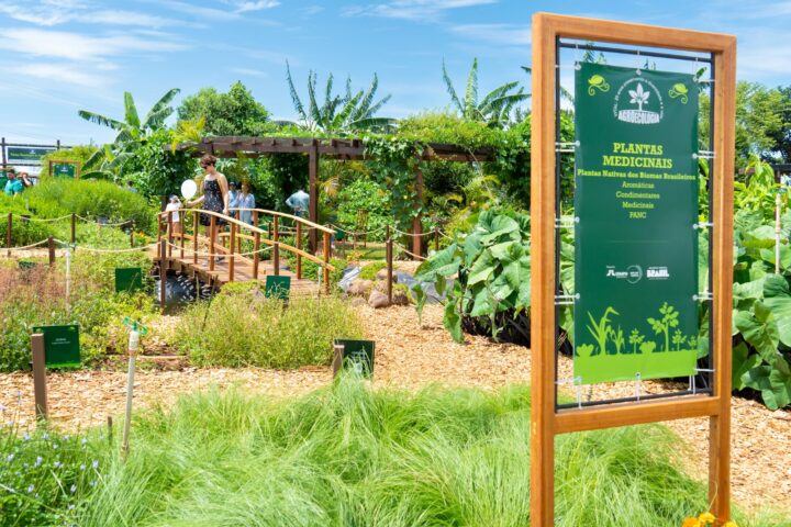 Foto: Sara Cheida/Itaipu Binacional