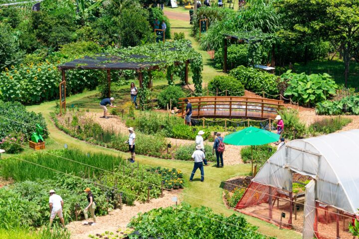 Foto: Sara Cheida/Itaipu Binacional