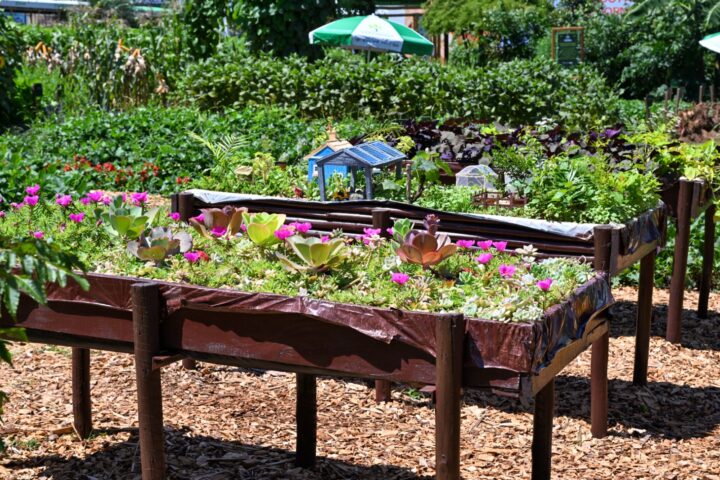 Foto: William Brisida/Itaipu Binacional