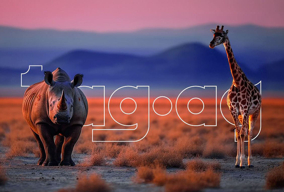 Girafa Comunicação Interativa e a Rhino Digital Way agora são Tag.ag