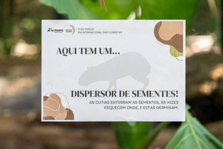 Placas informativas feitas pelas estagiárias do RBV | Foto: William Brisida/Itaipu Binacional