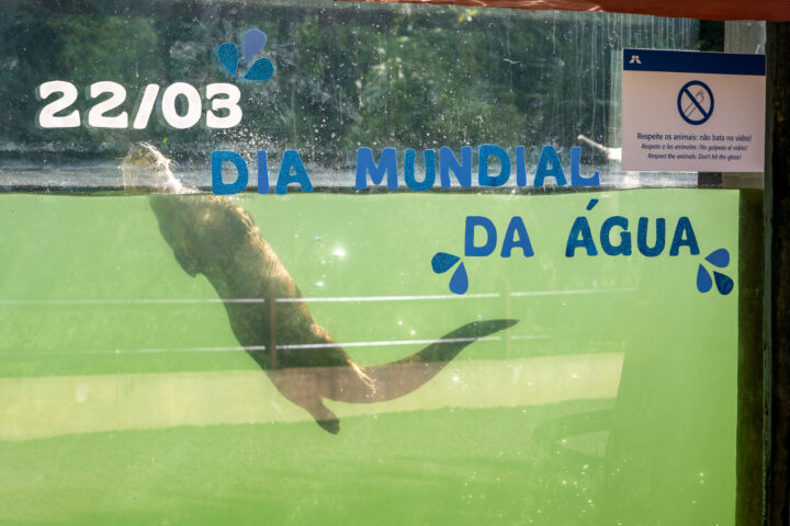 Foto: William Brisida/Itaipu Binacional