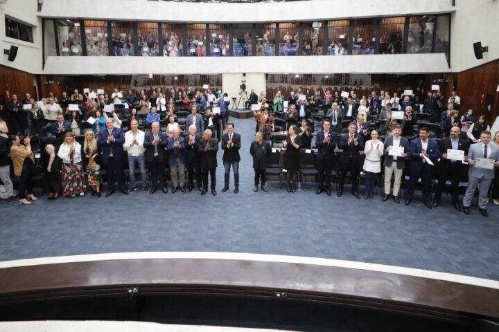 Solenidade ocorreu na noite dessa terça-feira (29), no Plenário da Assembleia | Foto: Valdir Amaral/Alep