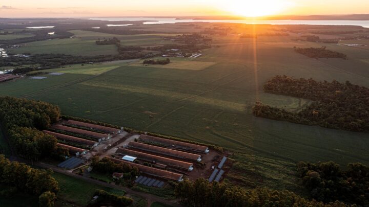 Recursos serão distribuídos em quatro eixos: Conservação da Biodiversidade, Desenvolvimento Comunitário, Produção Sustentável e Saúde e Bem-estar Social | Foto: Edino Krug/Itaipu Binacional