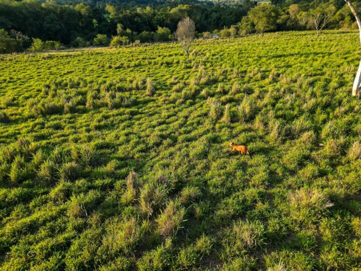 Foto: William Brisida/Itaipu Binacional