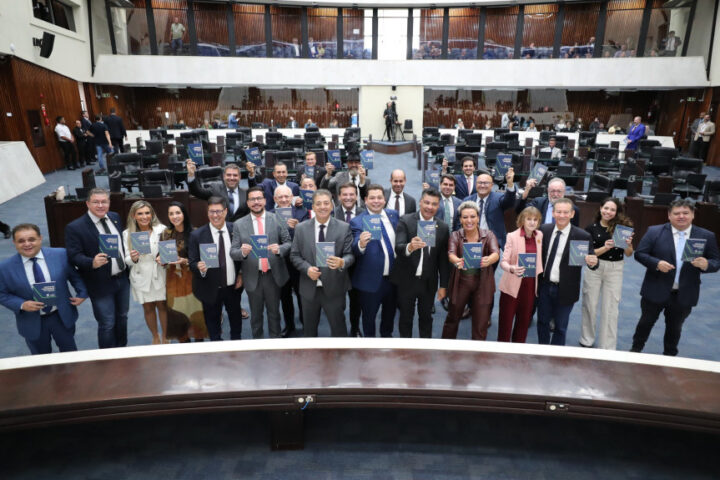 Consumidor Paranaense foi entregue ao Poder Legislativo durante a sessão plenária desta terça | Foto: Orlando Kissner/Alep