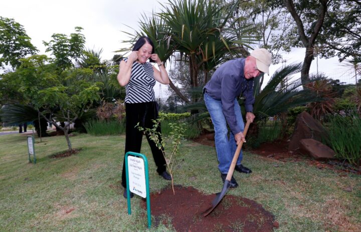 O fotógrafo e a esposa fundaram o Instituto Terra, que trabalha pela recuperação e preservação de florestas
