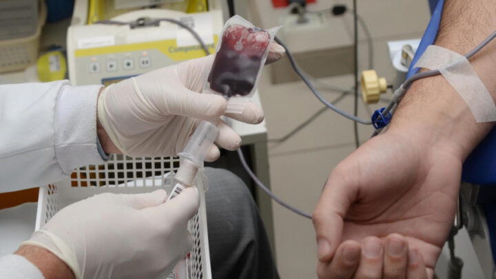 No Paraná, o Centro de Hematologia e Hemoterapia do Paraná (Hemepar) é responsável por 95,6% do estoque dos leitos do Sistema Único de Saúde (SUS), abastecendo 375 hospitais, públicos, privados ou filantrópicos | Foto: Venilton Küchler/SESA