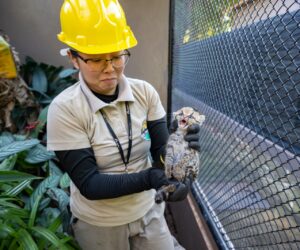 Foto: William Brisida/Itaipu Binacional
