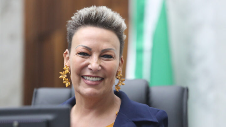 Deputada Cloara Pinheiro (PSD) | Foto: Orlando Kissner/Alep