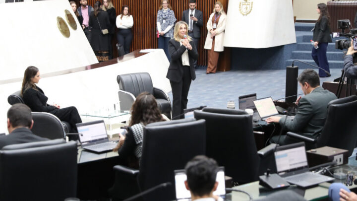 Durante sua participação, a ex-governadora Cida Borghetti destacou a importância do Parlamento Universitário para o futuro da política no estado | Foto: Valdir Amaral/Alep