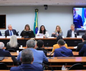 Foto: Agência Câmara de Notícias